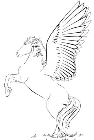 Rearing Pegasus Coloring Page